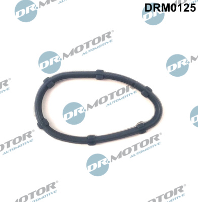 Garnitura, galerie admisie DRM0125 Dr.Motor Automotive