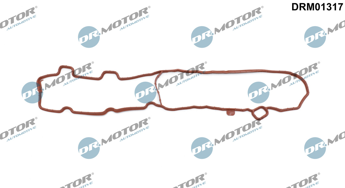 Garnitura, capac supape DRM01317 Dr.Motor Automotive