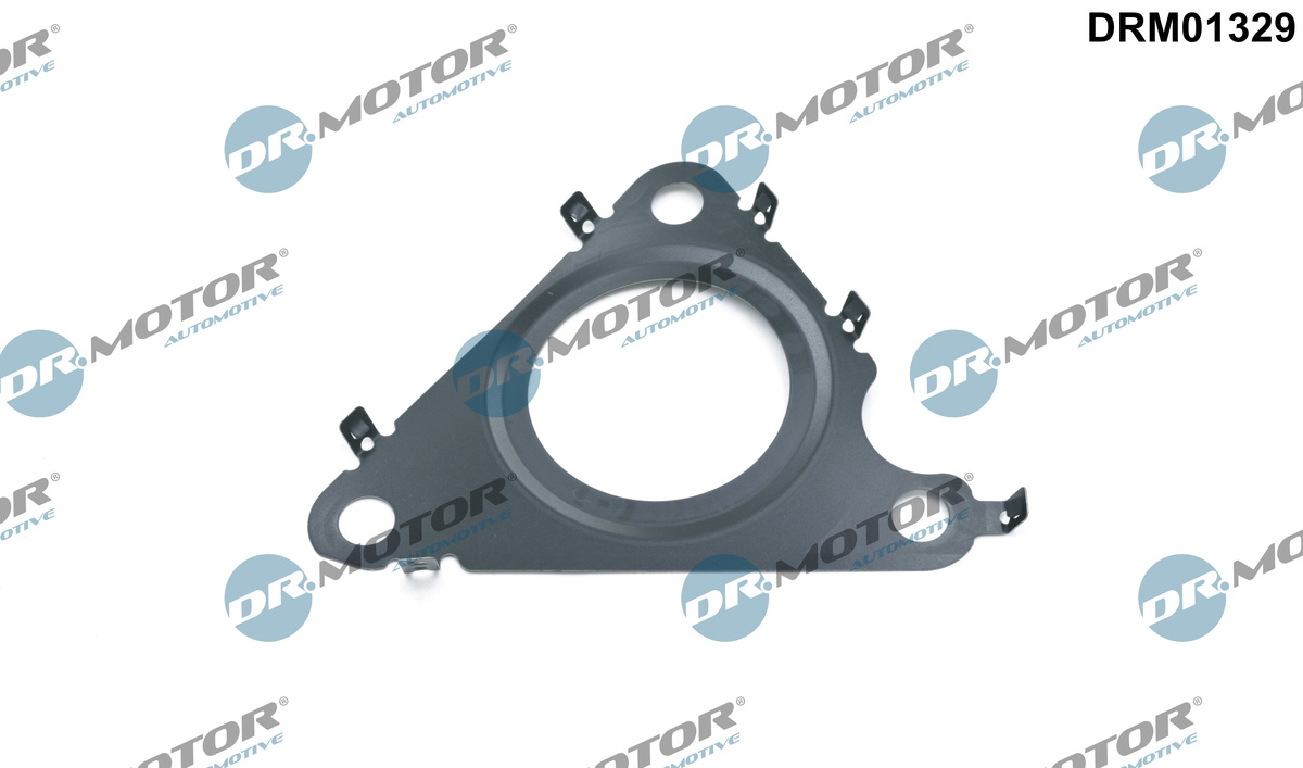 Garnitura, ventil AGR DRM01329 Dr.Motor Automotive