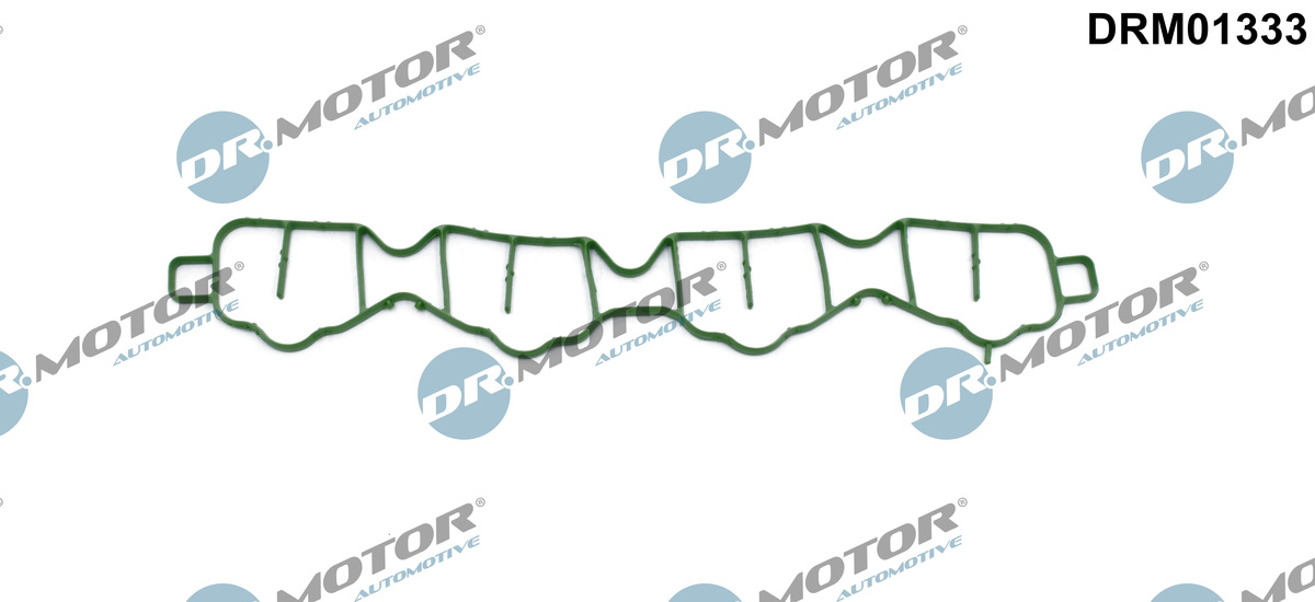 Garnitura, galerie admisie DRM01333 Dr.Motor Automotive