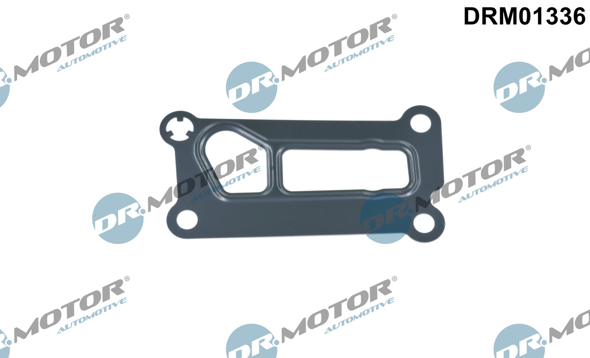 Garnituri, carcasa filtru ulei DRM01336 Dr.Motor Automotive