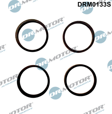 Set garnituri, galerie admisie DRM0133S Dr.Motor Automotive