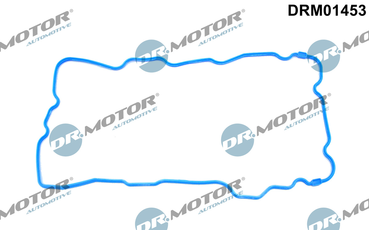 Garnitura baie ulei DRM01453 Dr.Motor Automotive