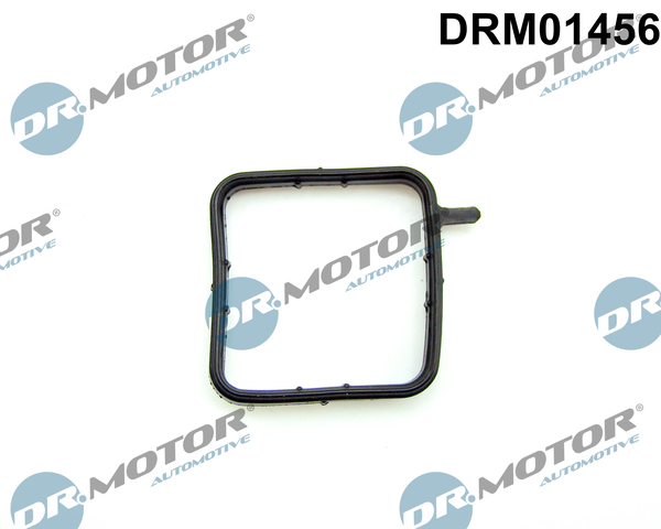 Garnitura,teava lichi de racire DRM01456 Dr.Motor Automotive