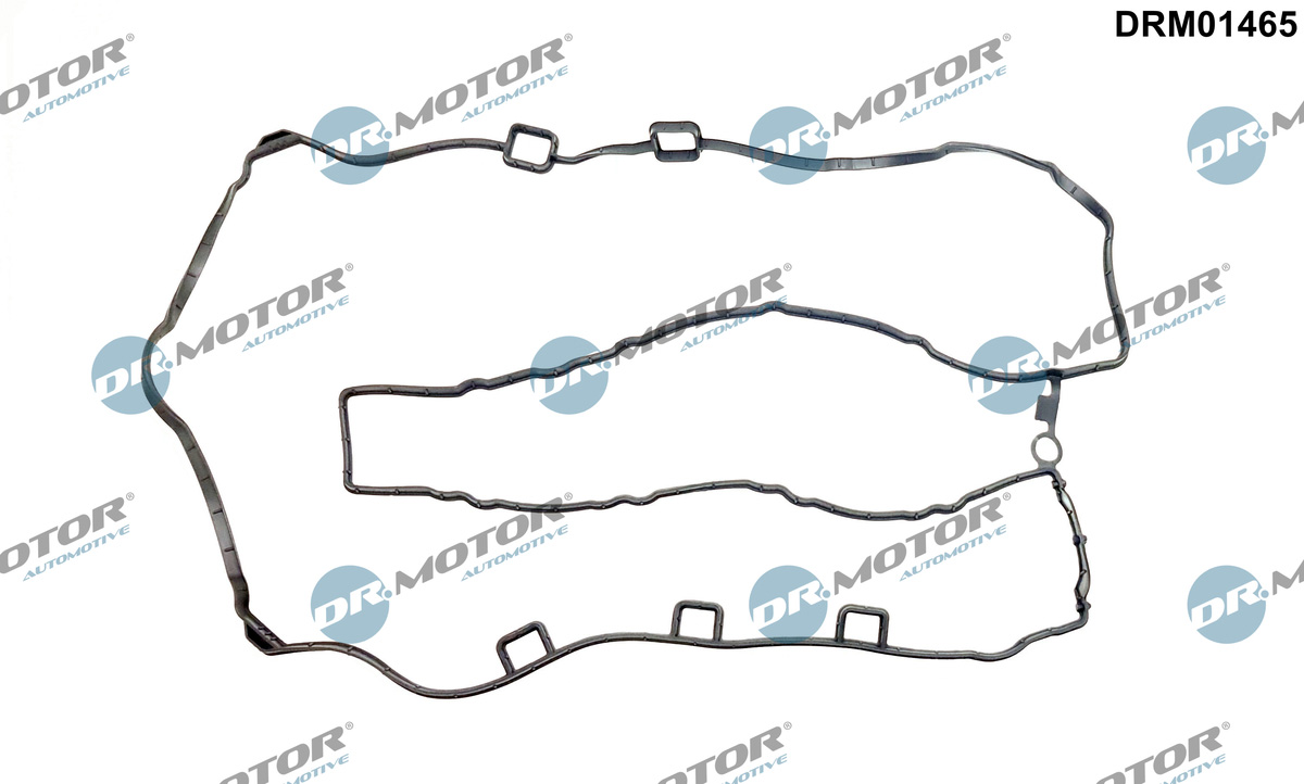 Garnitura, capac supape DRM01465 Dr.Motor Automotive