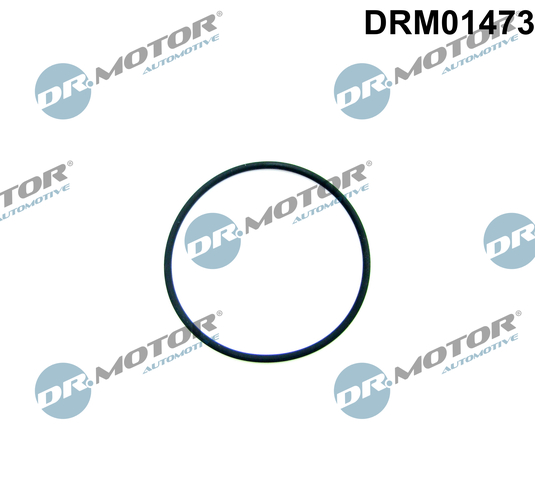 Garnitura, pompa combustibil DRM01473 Dr.Motor Automotive