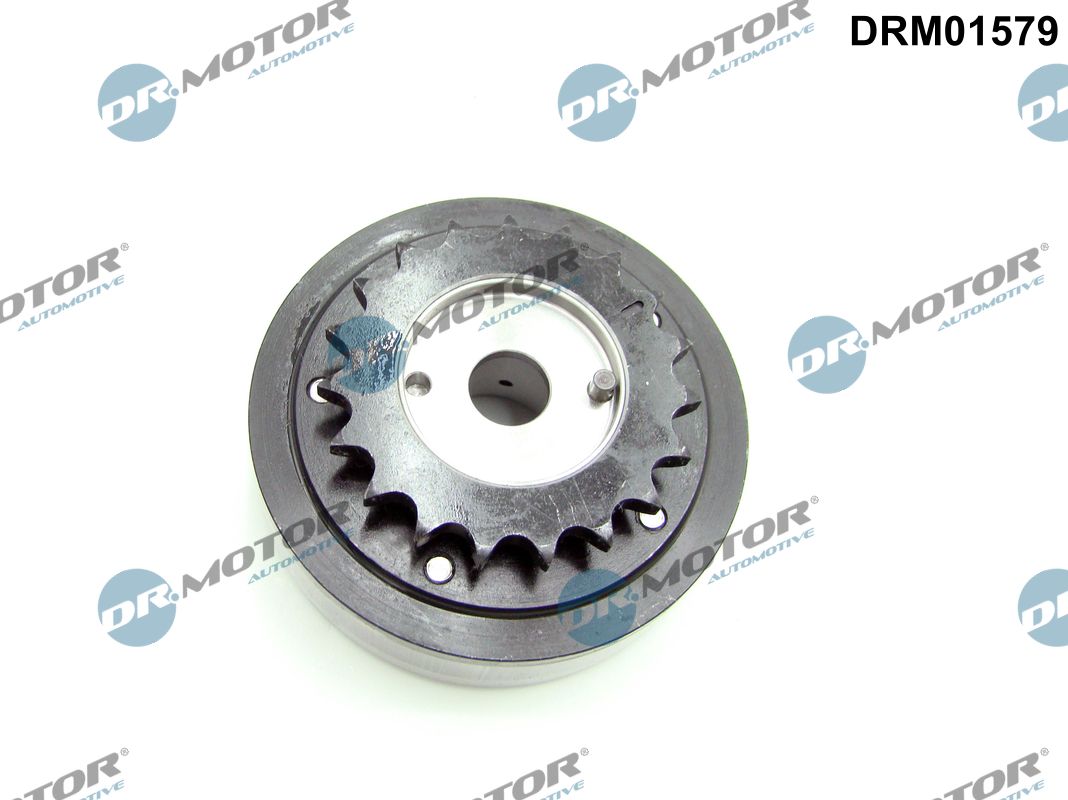 Regulator ax cu came DRM01579 Dr.Motor Automotive