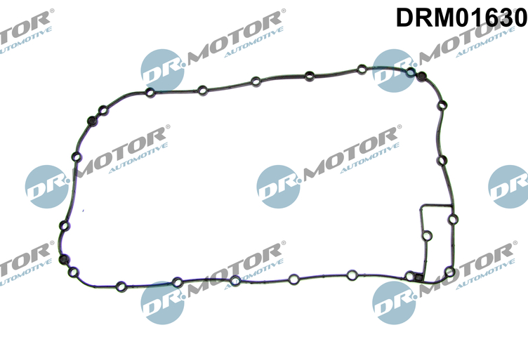 Garnitura baie ulei DRM01630 Dr.Motor Automotive