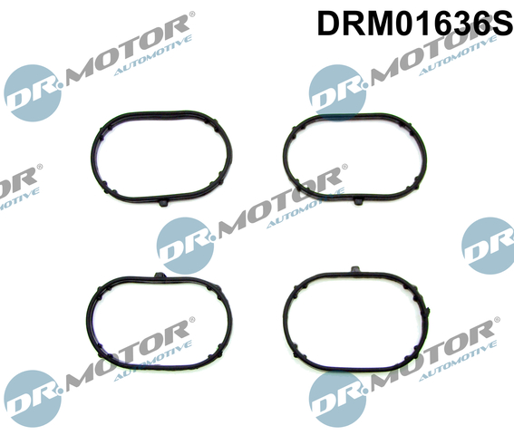 Set garnituri, galerie admisie DRM01636S Dr.Motor Automotive