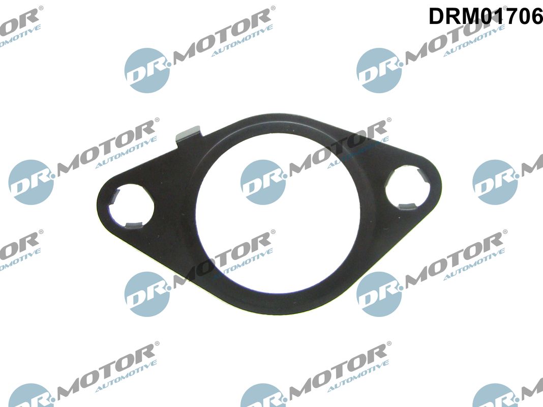 Garnitura, ventil AGR DRM01706 Dr.Motor Automotive