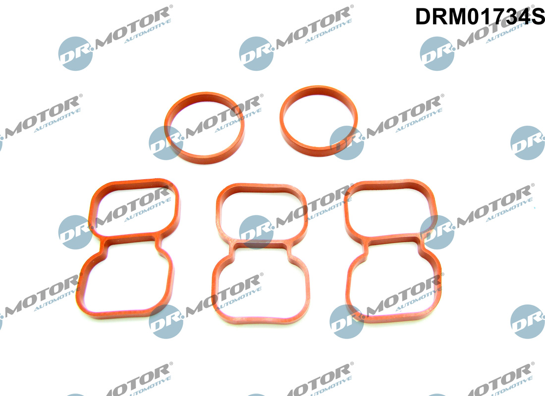 Garnitura, chiulasa DRM01734S Dr.Motor Automotive