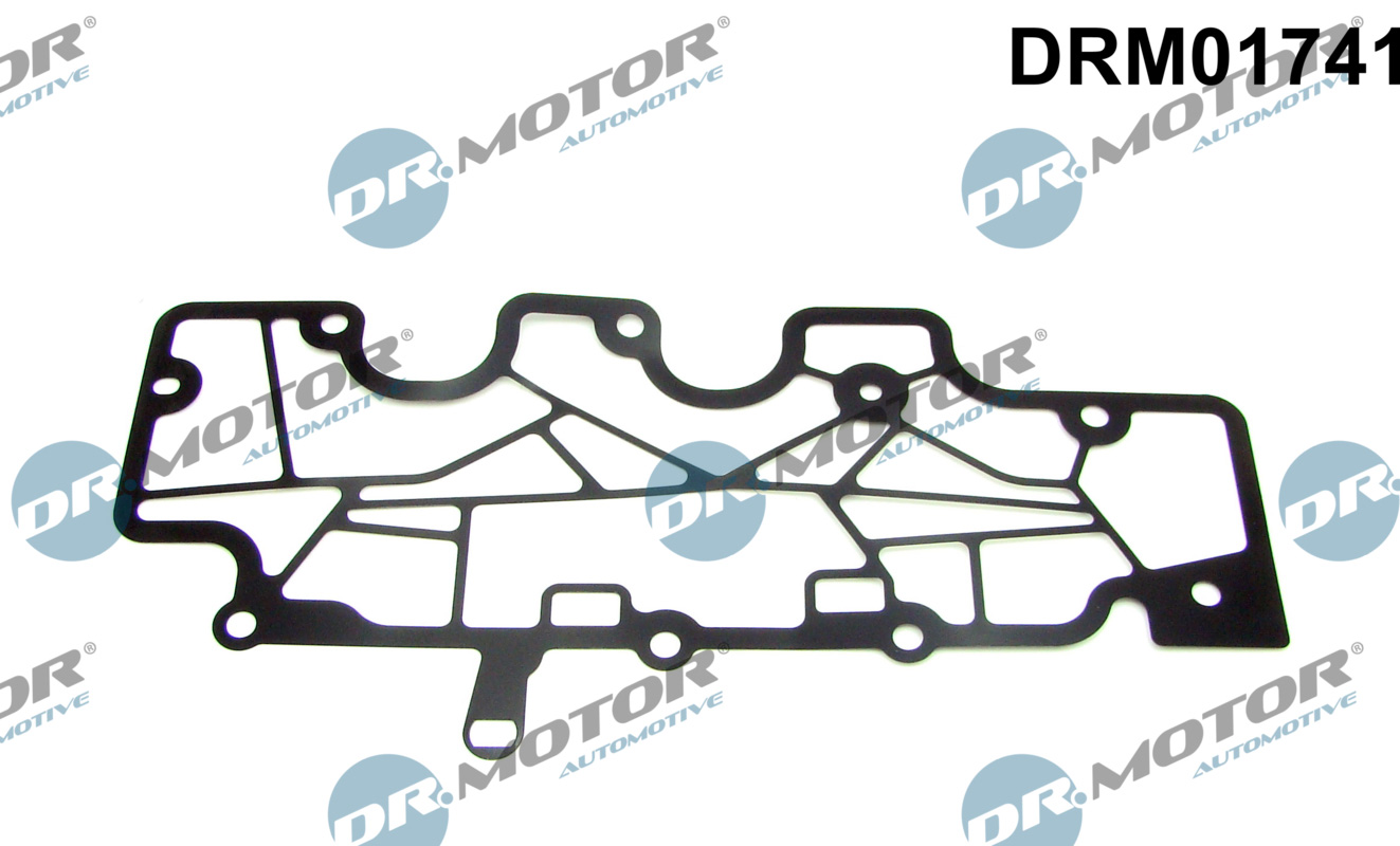 Garnitura,aerisire bloc motor DRM01741 Dr.Motor Automotive