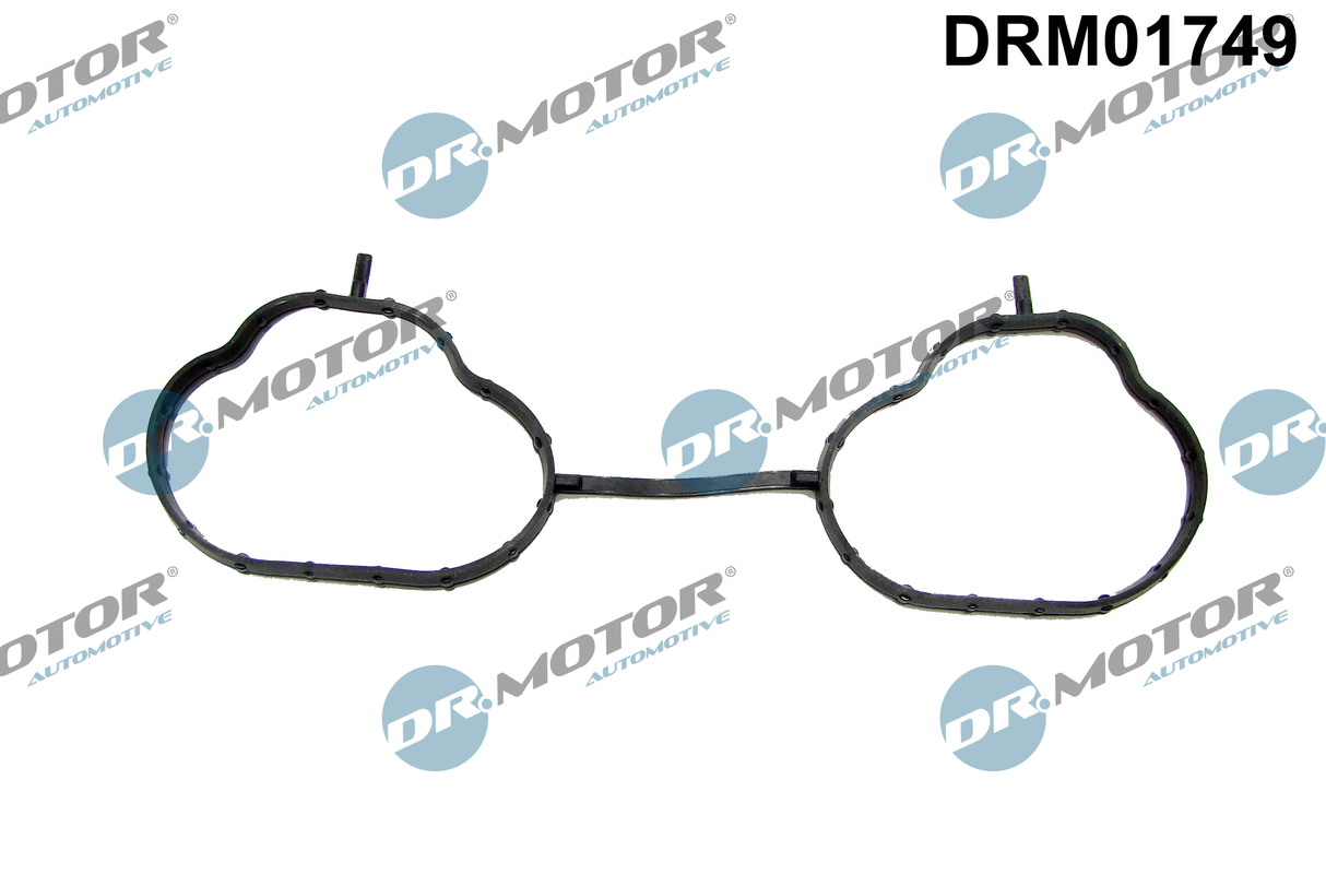 Garnitura, galerie admisie DRM01749 Dr.Motor Automotive