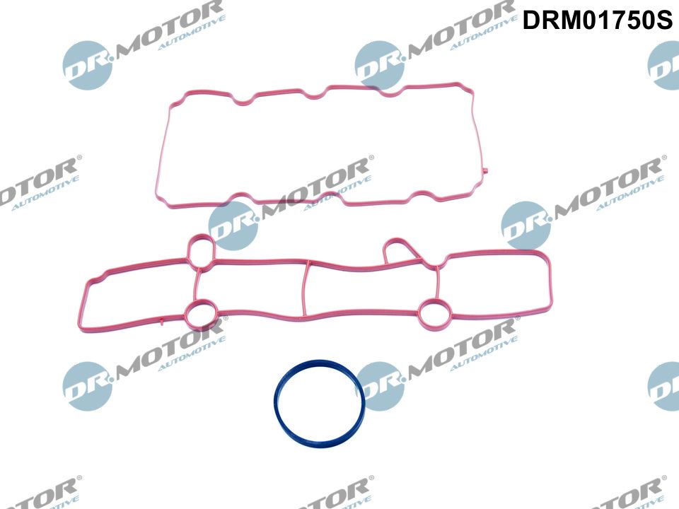 Set garnituri, galerie admisie DRM01750S Dr.Motor Automotive