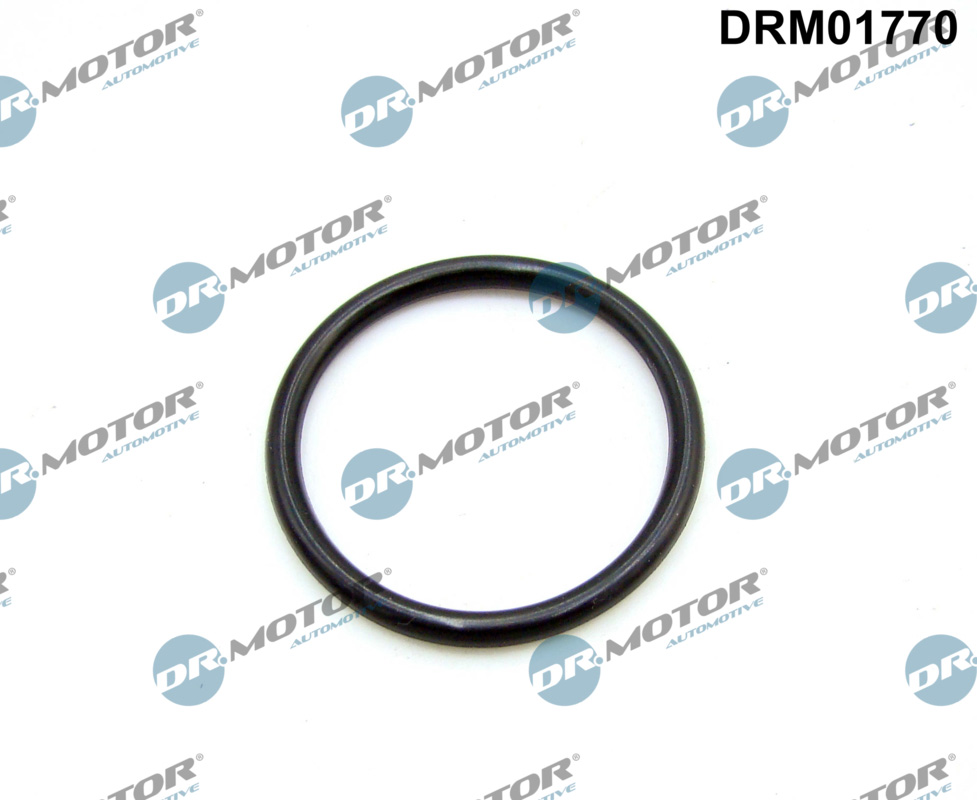 Garnitura, galerie admisie DRM01770 Dr.Motor Automotive