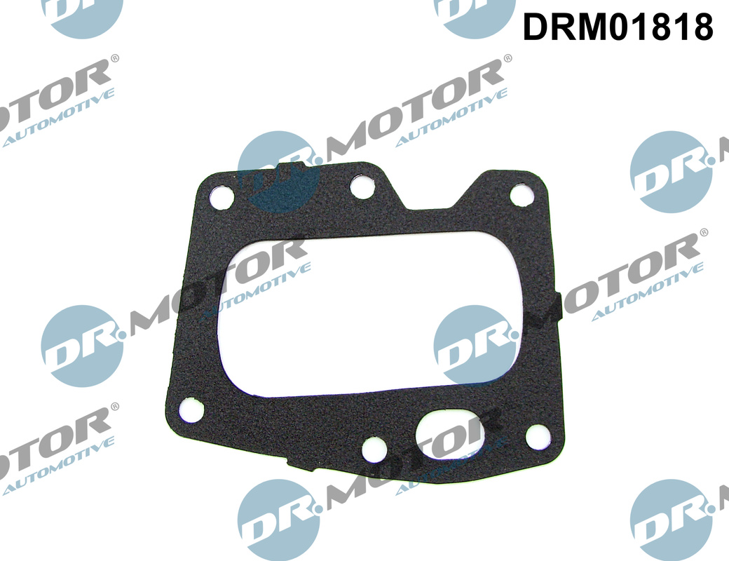 Garnitura, ventil AGR DRM01818 Dr.Motor Automotive