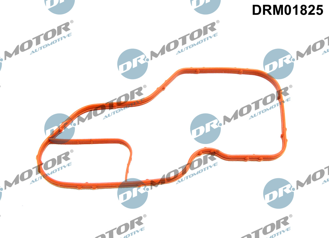 Garnitura, carcasa termostat DRM01825 Dr.Motor Automotive