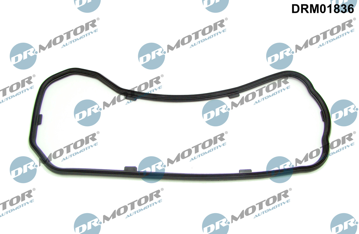 Garnitura baie ulei DRM01836 Dr.Motor Automotive