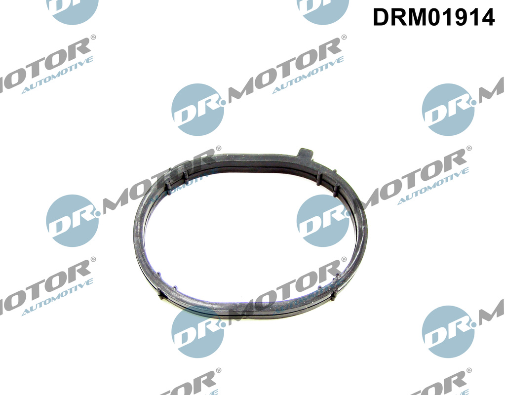 Garnitura, galerie admisie DRM01914 Dr.Motor Automotive