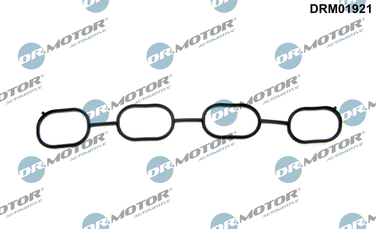 Garnitura, galerie admisie DRM01921 Dr.Motor Automotive