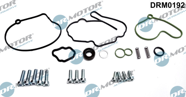Set reparatie, pompa vacuum (Siste frana) DRM0192 Dr.Motor Automotive