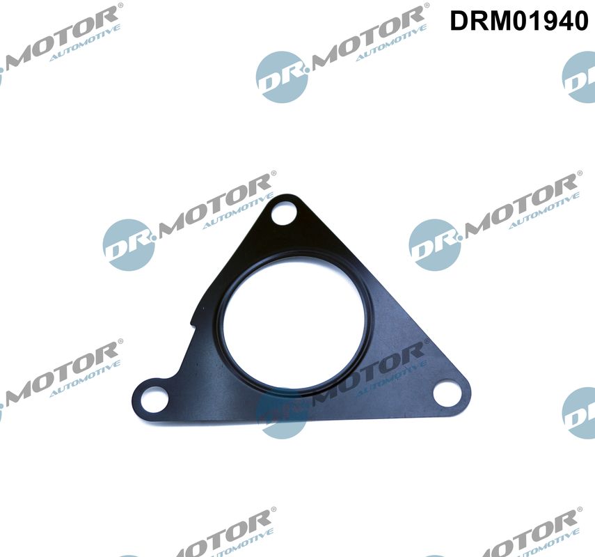 Garnitura, ventil AGR DRM01940 Dr.Motor Automotive