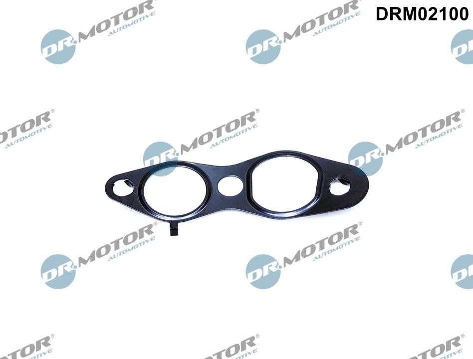 Garnitura, ventil AGR DRM02100 Dr.Motor Automotive