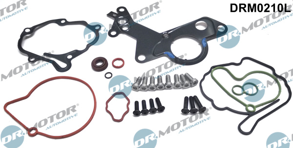 Set reparatie, pompa vacuum (Siste frana) DRM0210L Dr.Motor Automotive