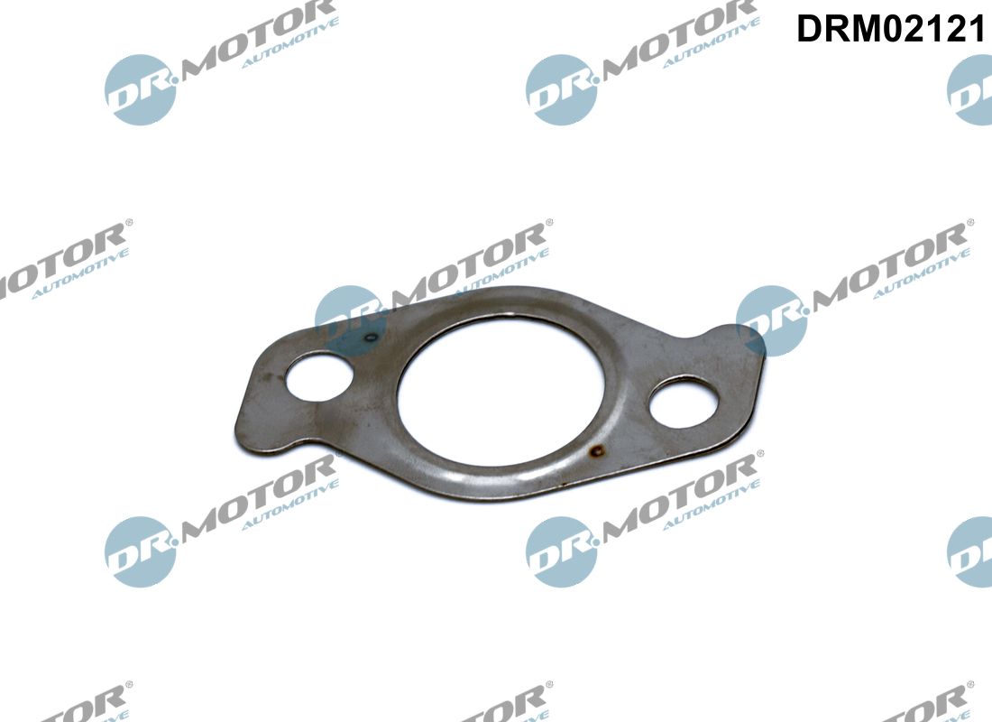 Garnitura, ventil AGR DRM02121 Dr.Motor Automotive