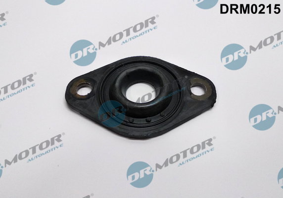 Etansare, suport injector DRM0215 Dr.Motor Automotive