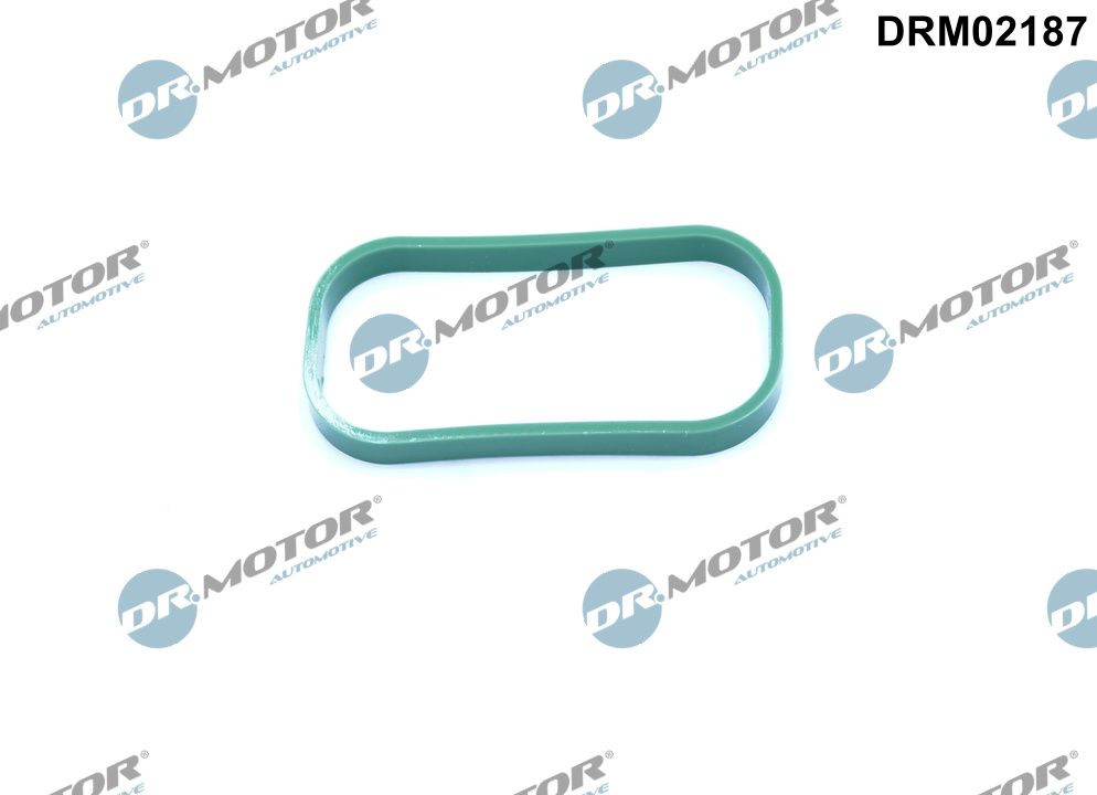Garnitura, galerie admisie DRM02187 Dr.Motor Automotive