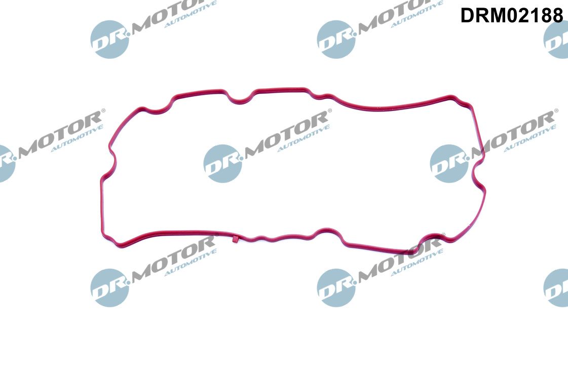 Garnitura, galerie admisie DRM02188 Dr.Motor Automotive