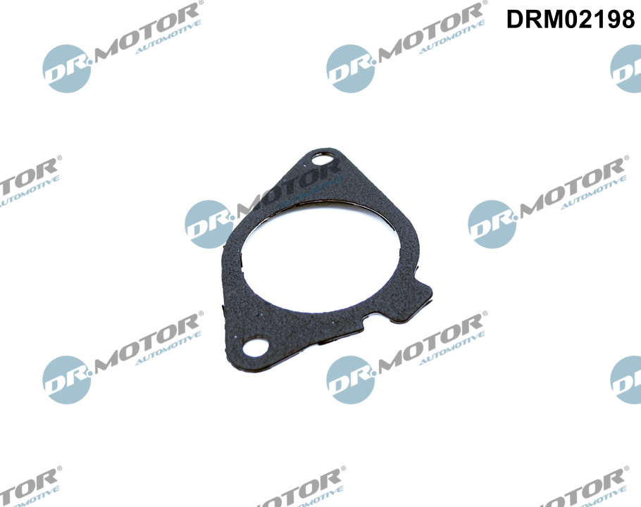 Garnitura, ventil AGR DRM02198 Dr.Motor Automotive