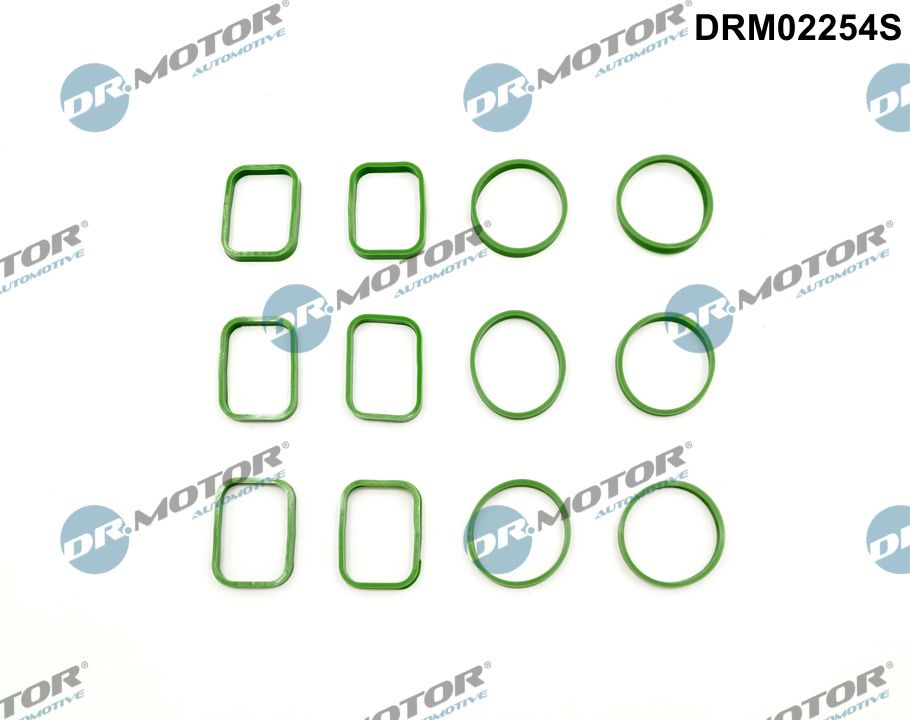 Set garnituri, galerie admisie DRM02254S Dr.Motor Automotive