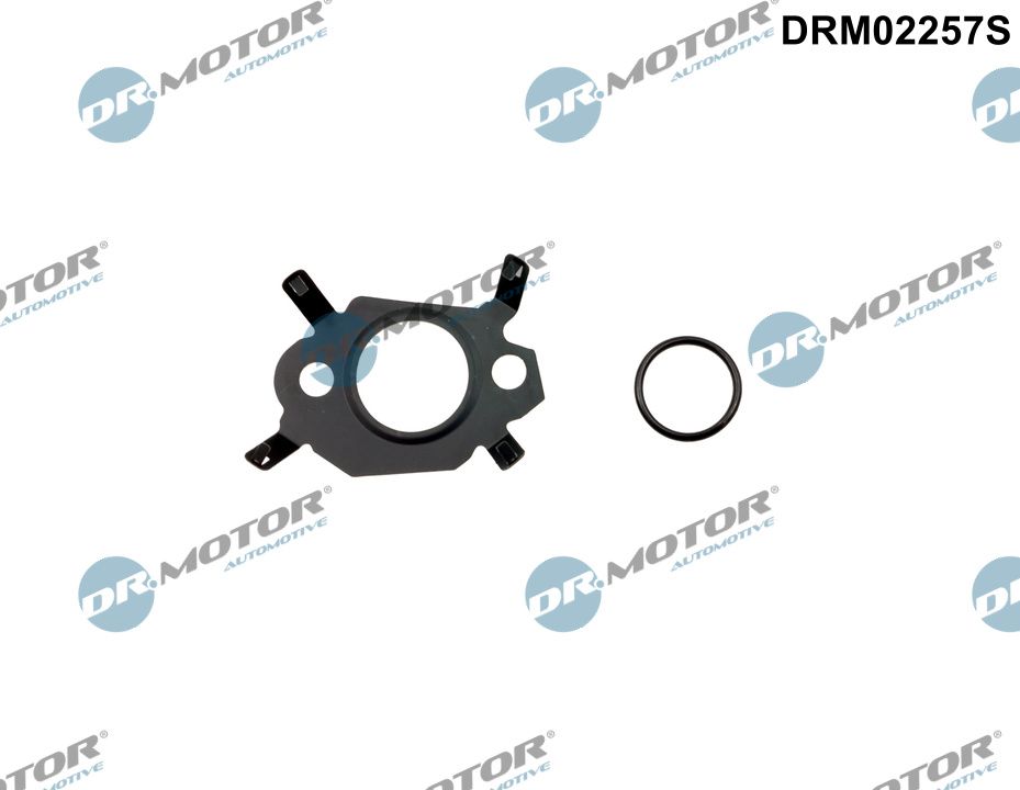 Set garnitura sistem EGR DRM02257S Dr.Motor Automotive