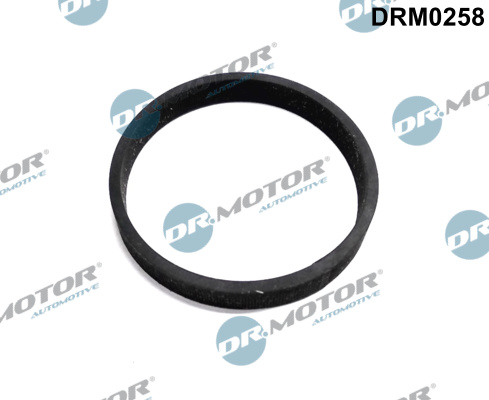 Etansare, intrare turbina (compresor) DRM0258 Dr.Motor Automotive