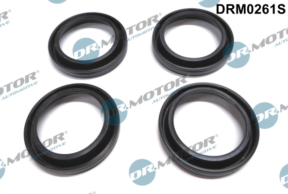 Etansare, suport injector DRM0261S Dr.Motor Automotive