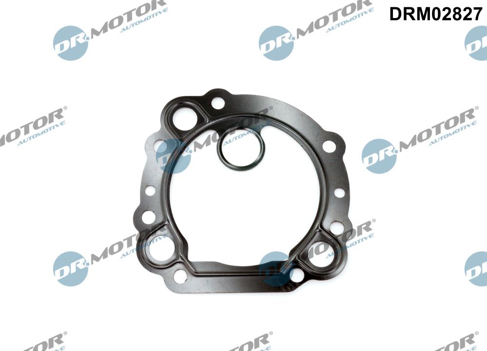 Garnitura, ventil AGR DRM02827 Dr.Motor Automotive
