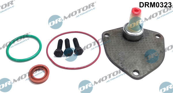 Set reparatie, pompa vacuum (Siste frana) DRM0323 Dr.Motor Automotive