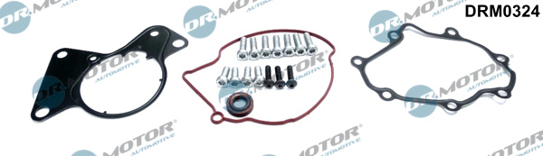 Set reparatie, pompa vacuum (Siste frana) DRM0324 Dr.Motor Automotive