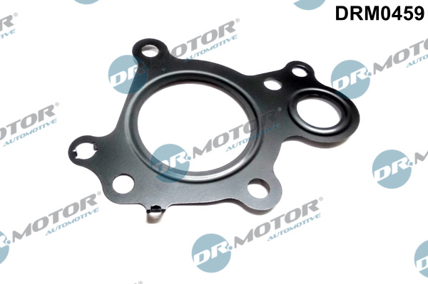 Garnitura, ventil AGR DRM0459 Dr.Motor Automotive