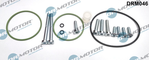 Set reparatie, pompa vacuum (Siste frana) DRM046 Dr.Motor Automotive