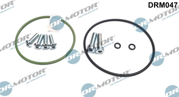 Set reparatie, pompa vacuum (Siste frana) DRM047 Dr.Motor Automotive