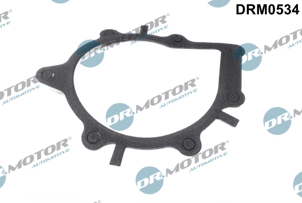 Garnitura, pompa de apa DRM0534 Dr.Motor Automotive