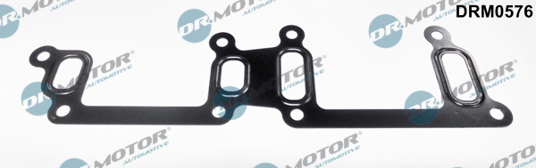 Garnitura,teava lichi de racire DRM0576 Dr.Motor Automotive