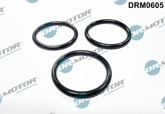 Garnitura, pompa de apa DRM0605 Dr.Motor Automotive