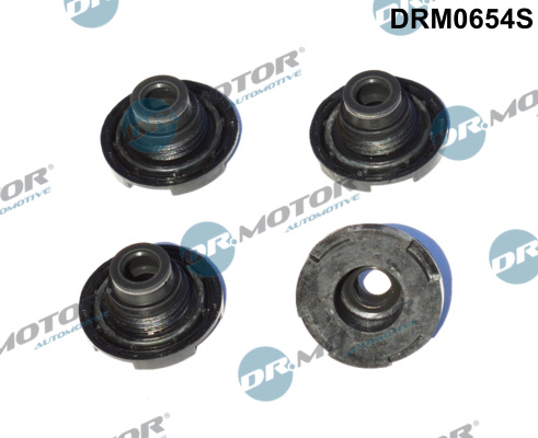 Garnitura, chiulasa DRM0654S Dr.Motor Automotive
