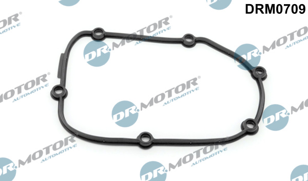 Garnitura capac, distributie DRM0709 Dr.Motor Automotive