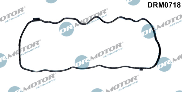 Garnitura capac, distributie DRM0718 Dr.Motor Automotive