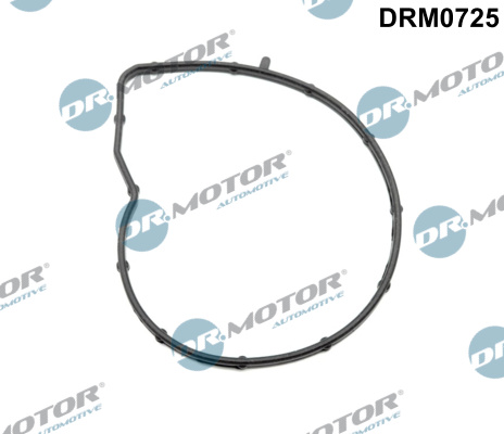 Garnitura, pompa de apa DRM0725 Dr.Motor Automotive